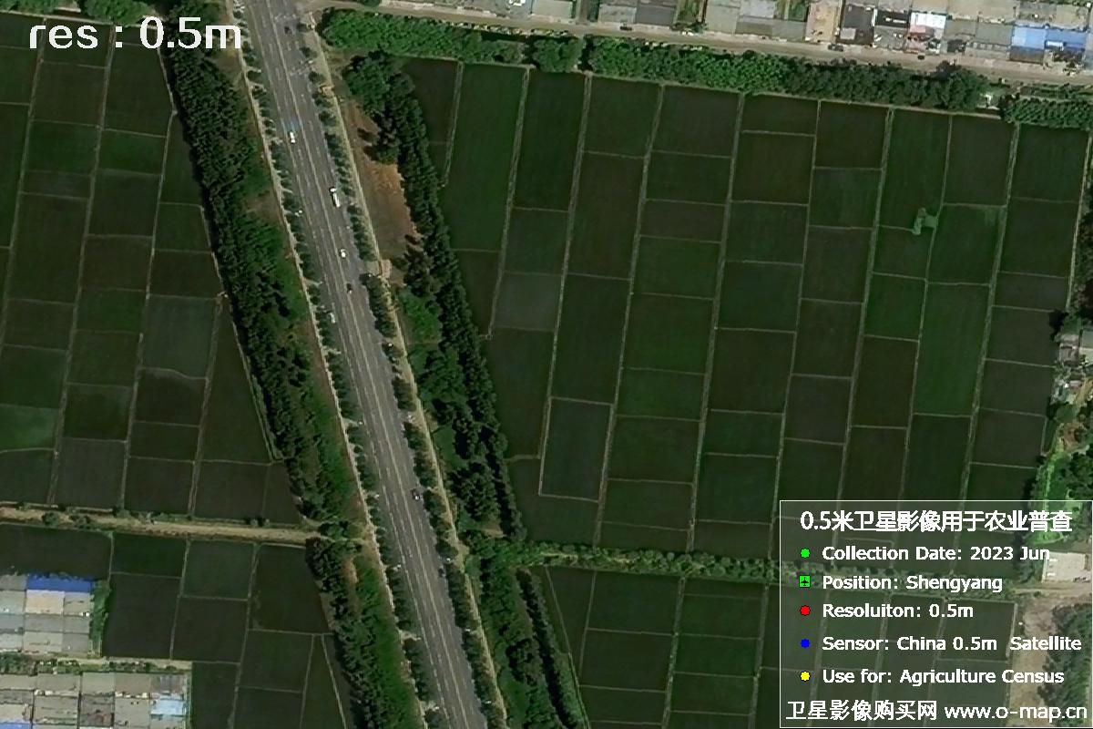 中国0.5米分辨率卫星拍摄的图片