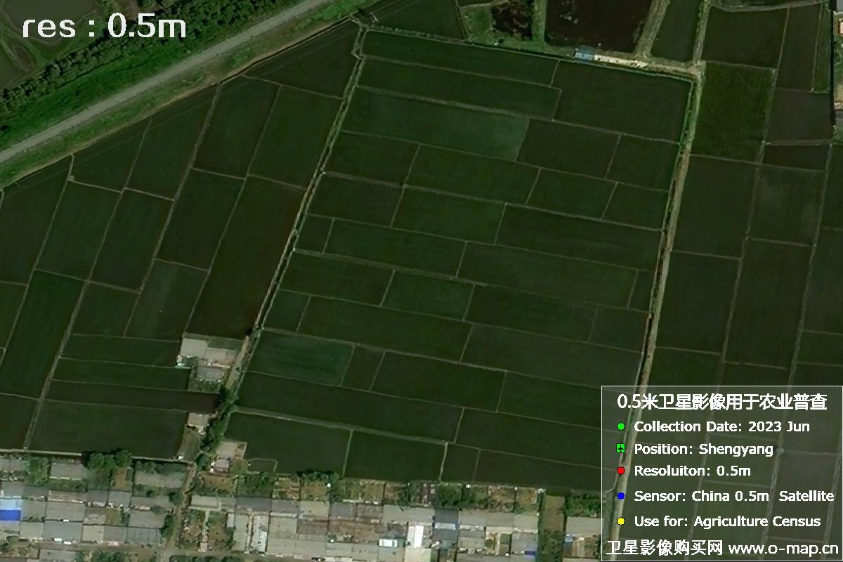 中国0.5米分辨率卫星拍摄的图片