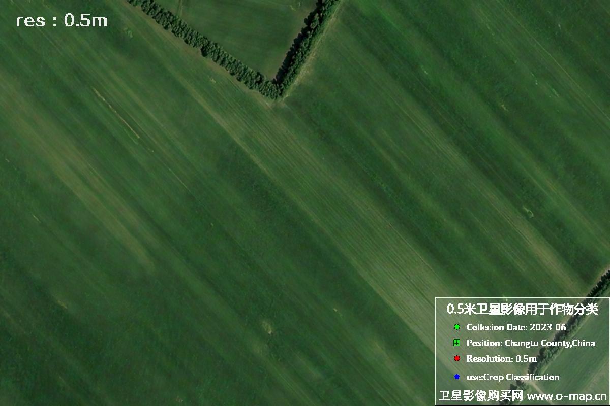 辽宁省昌图县2023年6月份农作物0.5米分辨率卫星影像