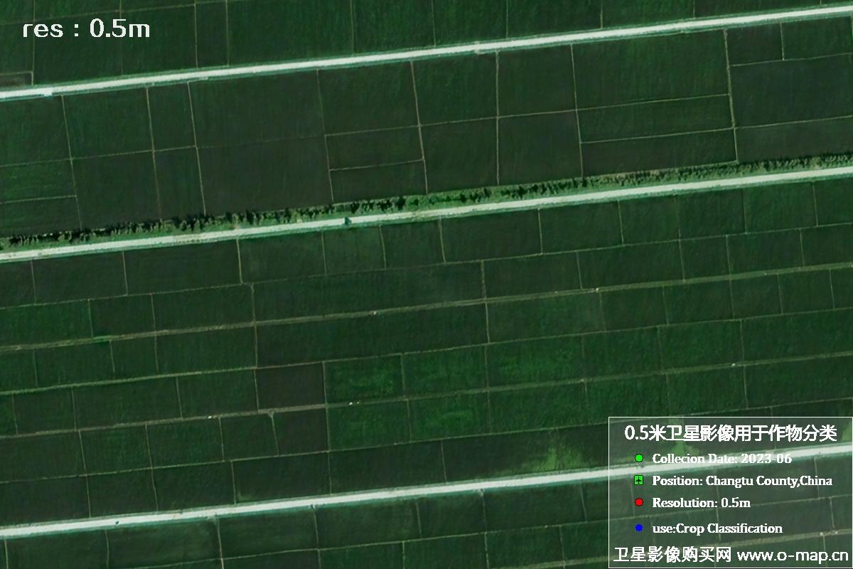 辽宁省昌图县2023年6月份农作物0.5米分辨率卫星影像