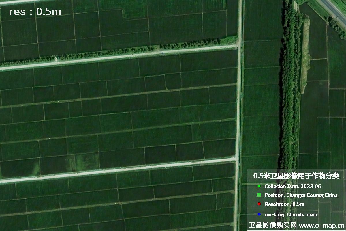 辽宁省昌图县2023年6月份农作物0.5米分辨率卫星影像