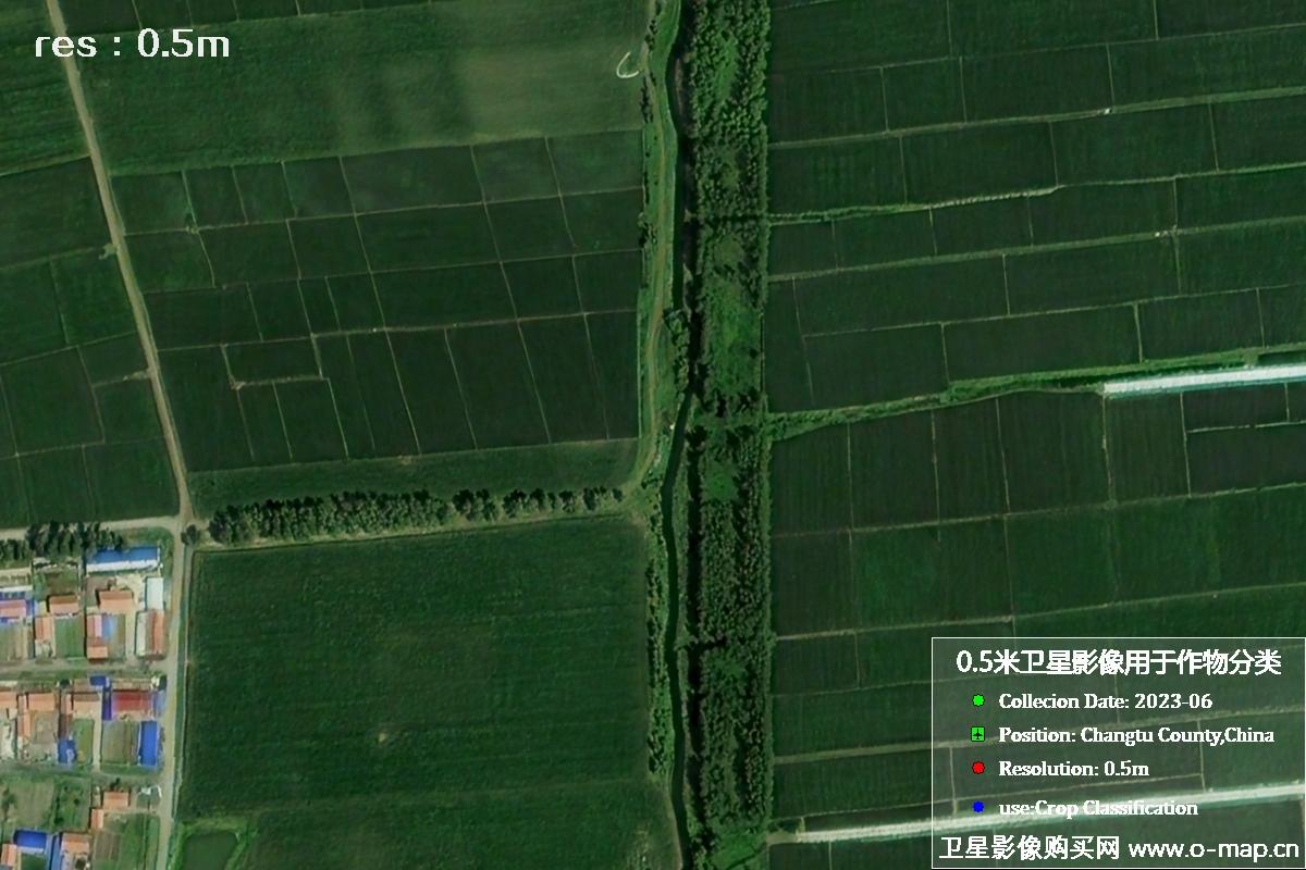 辽宁省昌图县2023年6月份农作物0.5米分辨率卫星影像
