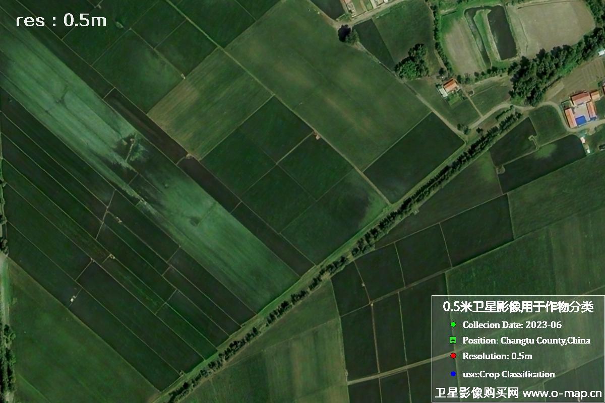 辽宁省昌图县2023年6月份农作物0.5米分辨率卫星影像