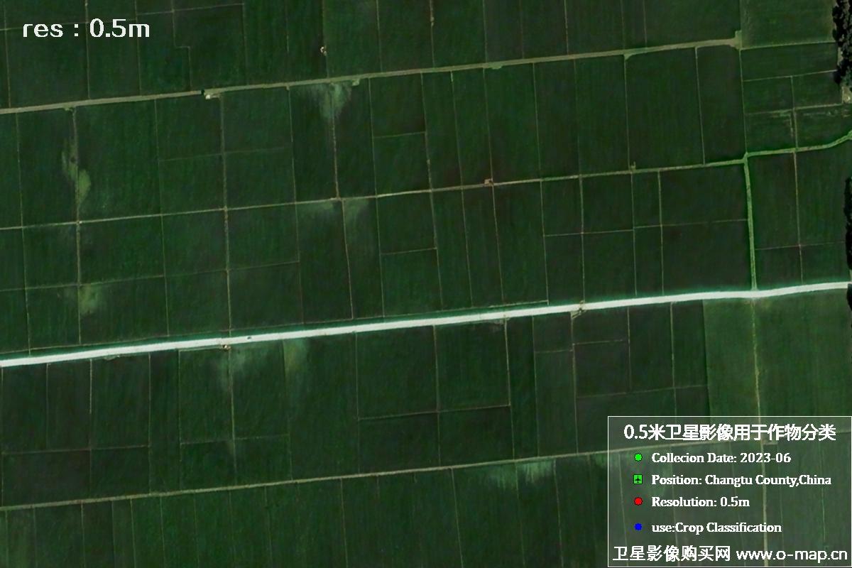辽宁省昌图县2023年6月份农作物0.5米分辨率卫星影像