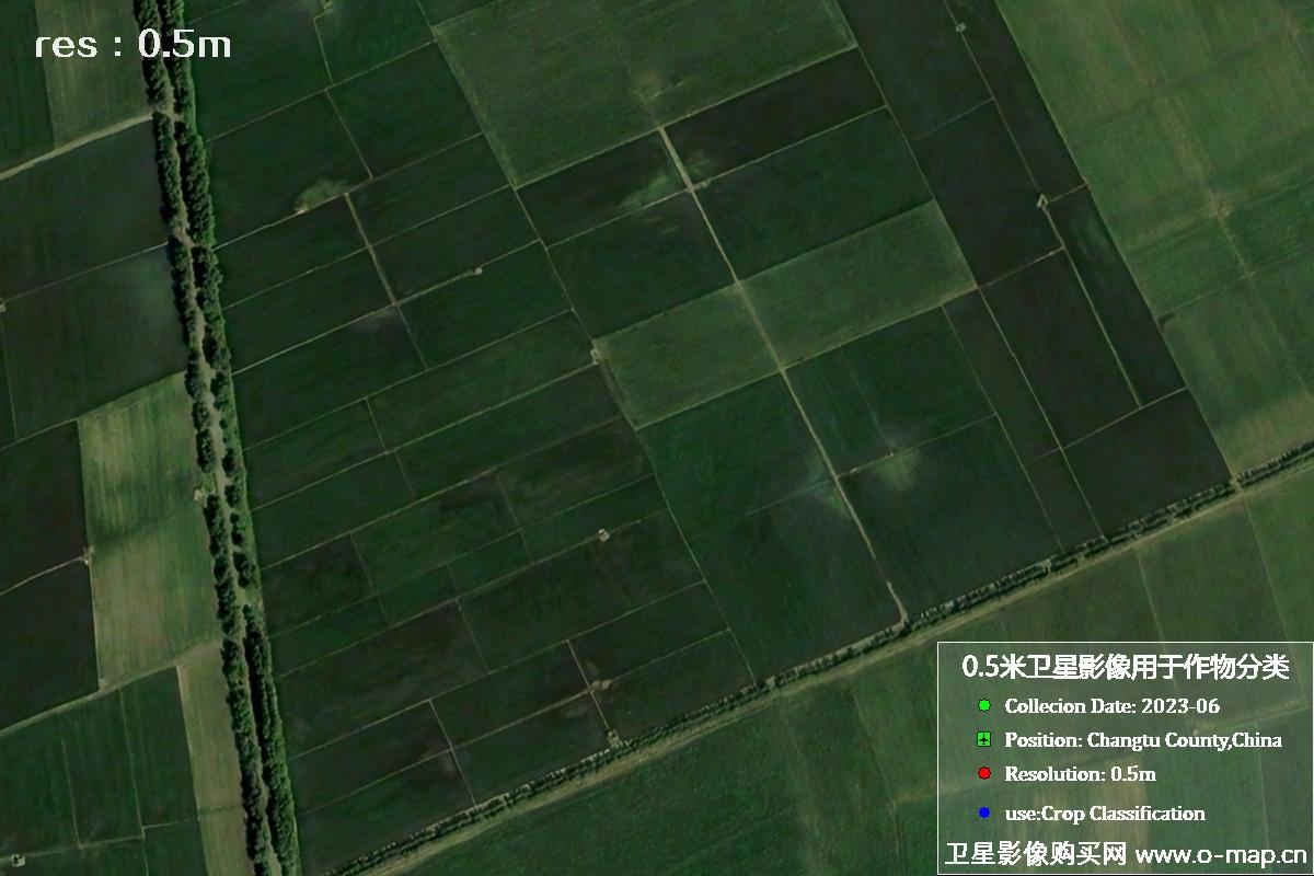 辽宁省昌图县2023年6月份农作物0.5米分辨率卫星影像