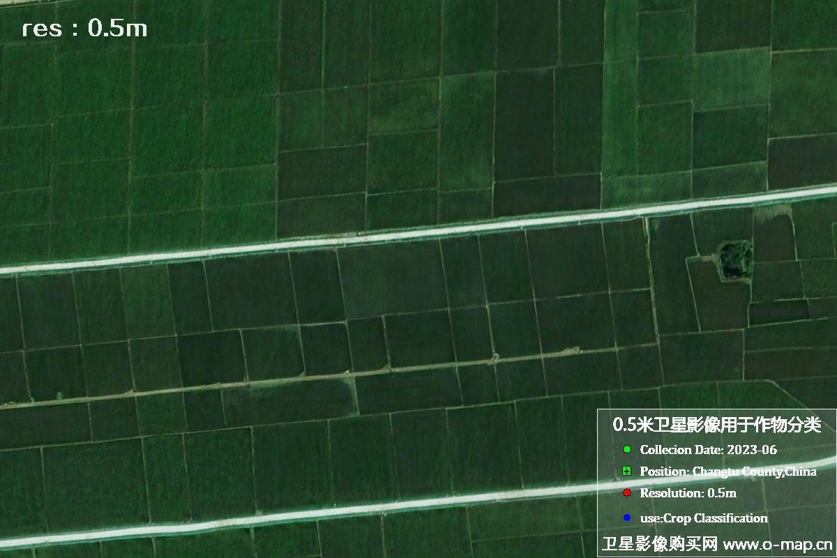 辽宁省昌图县2023年6月份农作物0.5米分辨率卫星影像