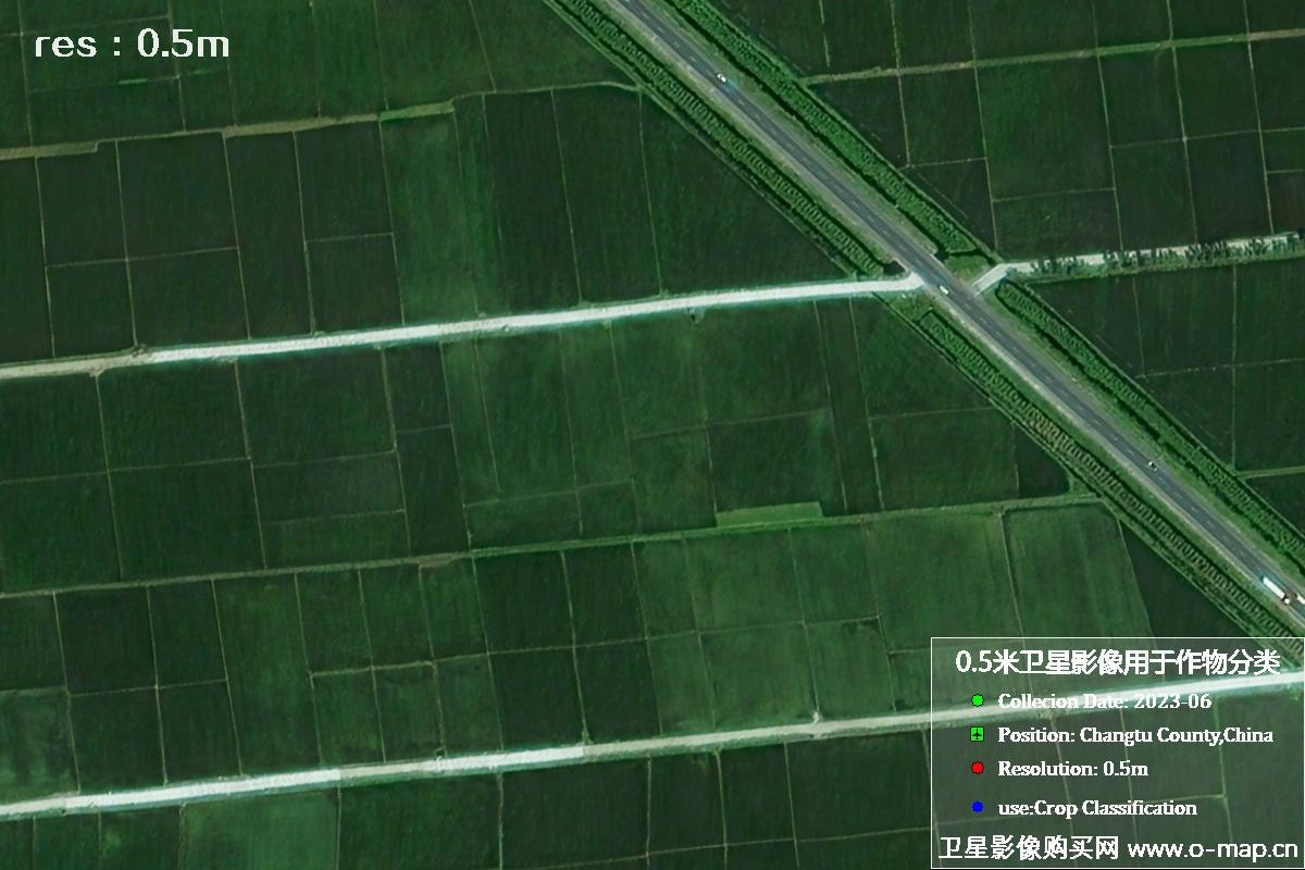 辽宁省昌图县2023年6月份农作物0.5米分辨率卫星影像