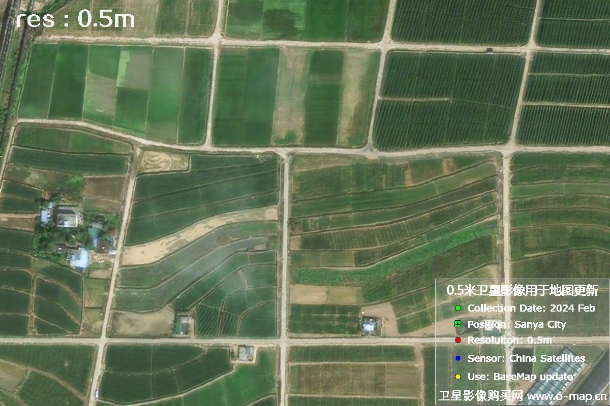 三亚地区2024年2月份0.5米分辨率农田地块卫星图