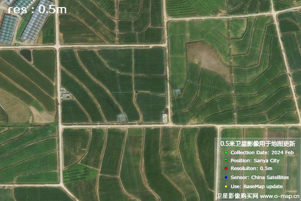 三亚地区2024年2月份0.5米分辨率农田地块卫星图