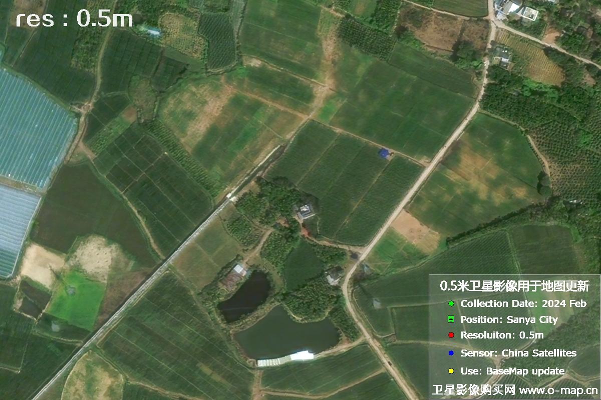 三亚地区2024年2月份0.5米分辨率农田地块卫星图