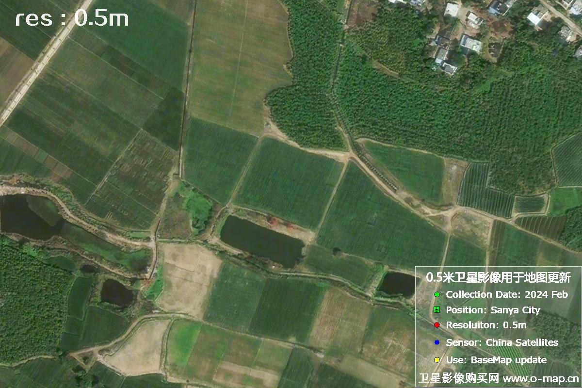 三亚地区2024年2月份0.5米分辨率农田地块卫星图