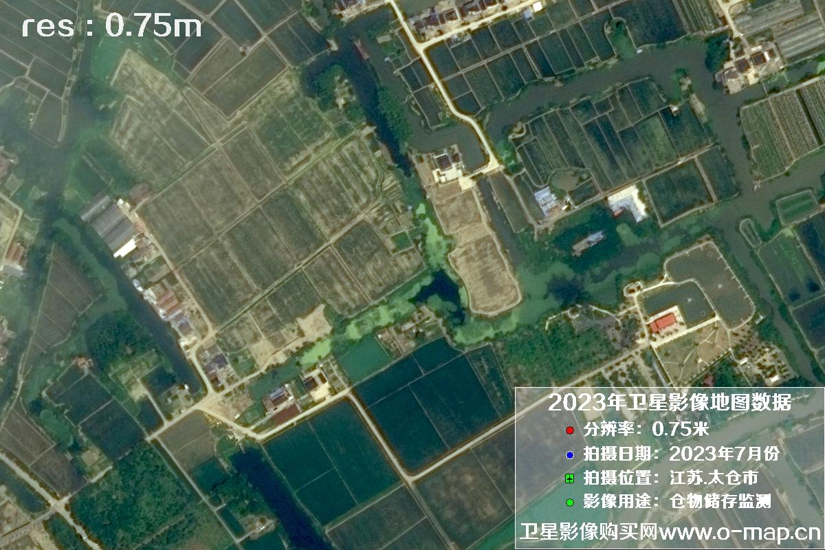 江苏省太仓市2023年7月份0.75米卫星影像图片
