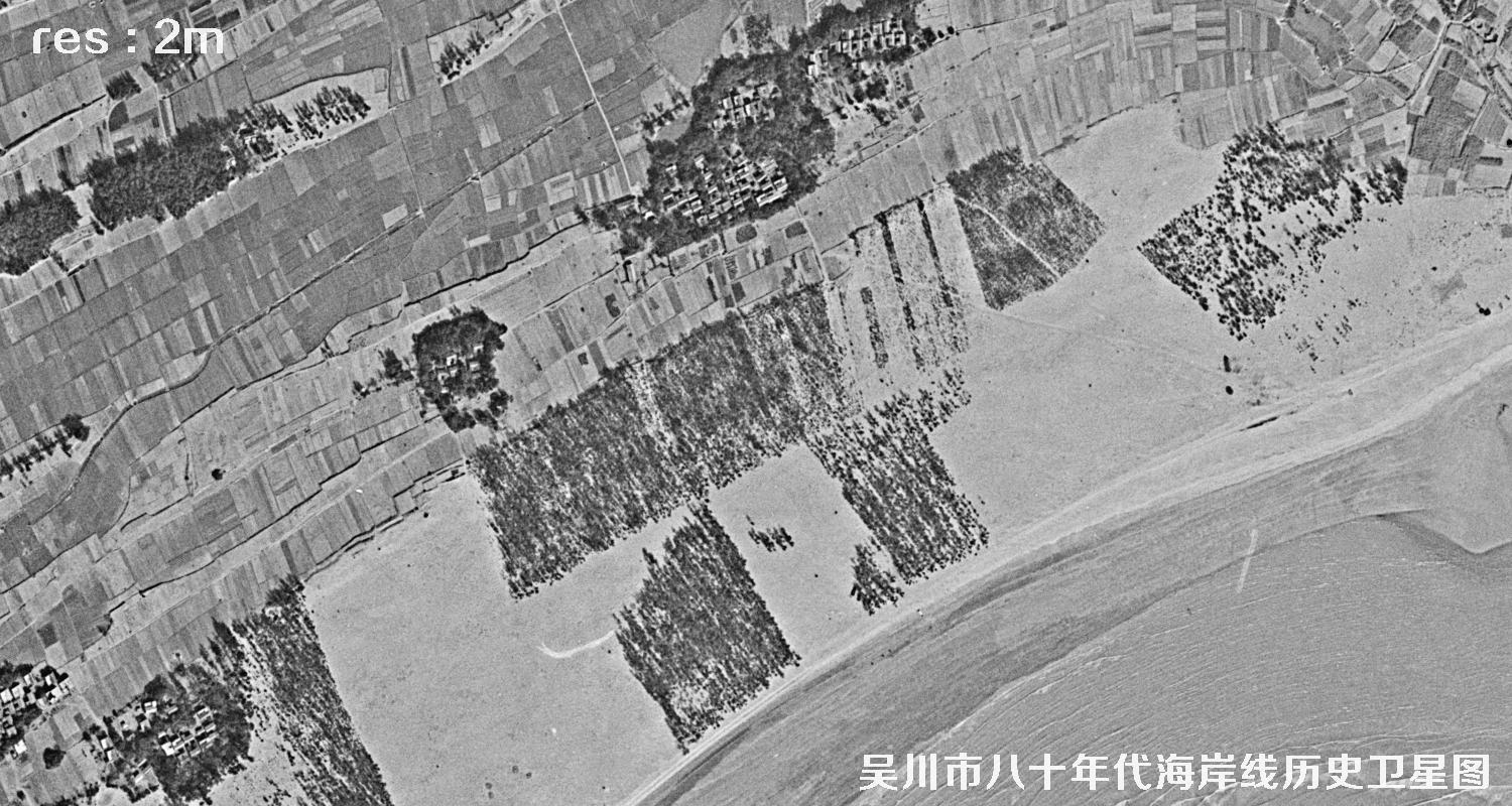 广东省湛江市吴川市八十年代海岸线历史卫星图