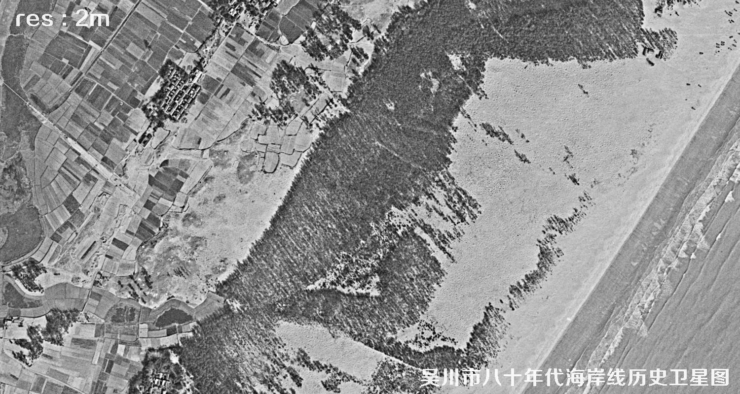 广东省湛江市吴川市八十年代海岸线历史卫星图