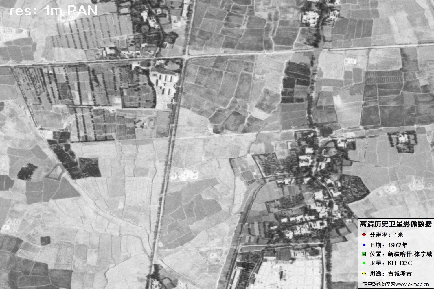 KeyHole锁眼卫星拍摄的新疆赖宁古城1972年历史卫星图像