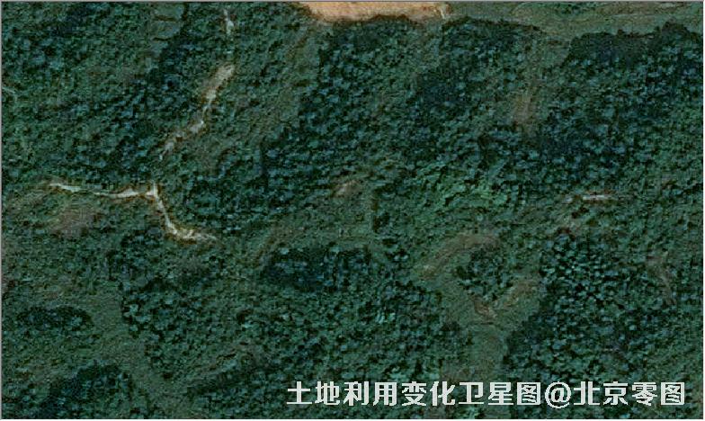 土地利用变化卫星图