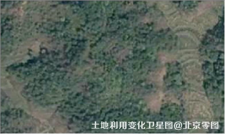 土地利用变化卫星图