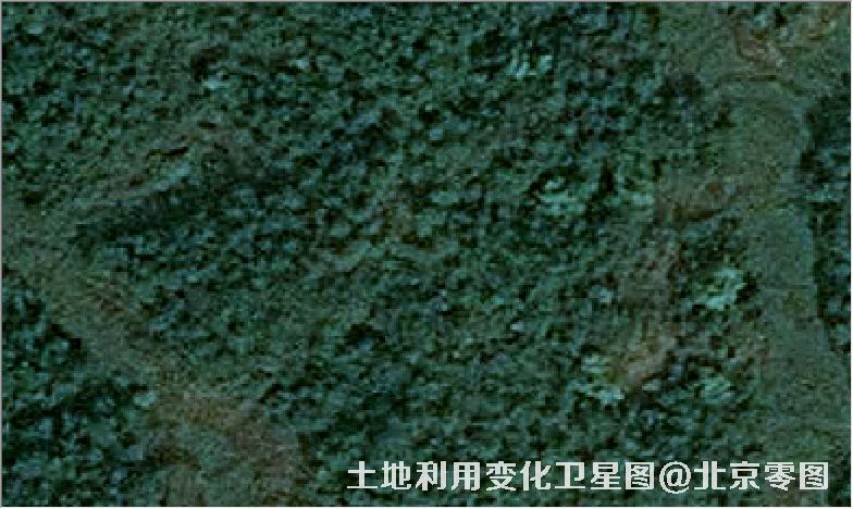 土地利用变化卫星图