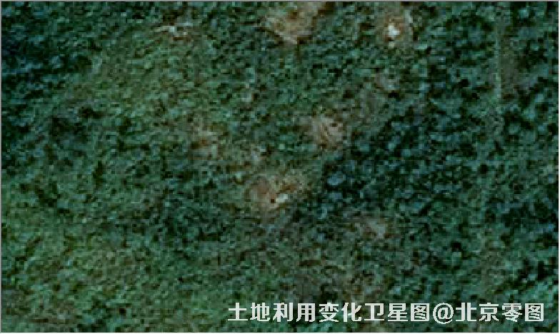 土地利用变化卫星图