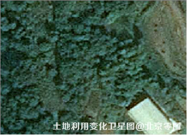 土地利用变化卫星图
