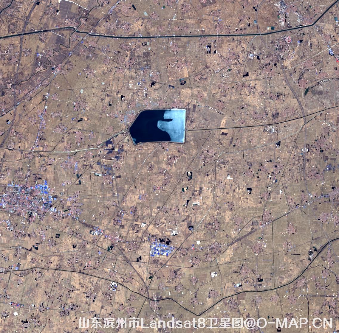 Landsat8卫星2022年3月份拍摄的山东省滨州市卫星图