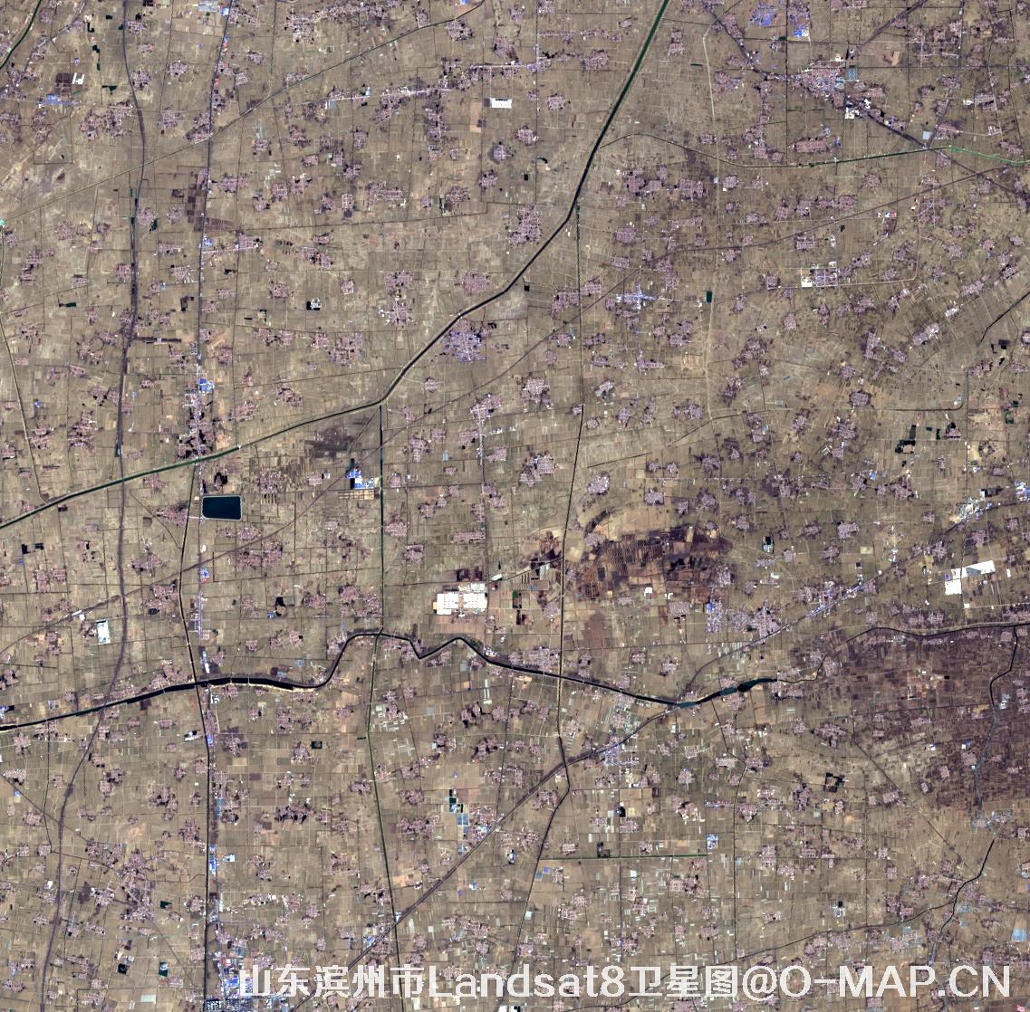 Landsat8卫星2022年3月份拍摄的山东省滨州市卫星图