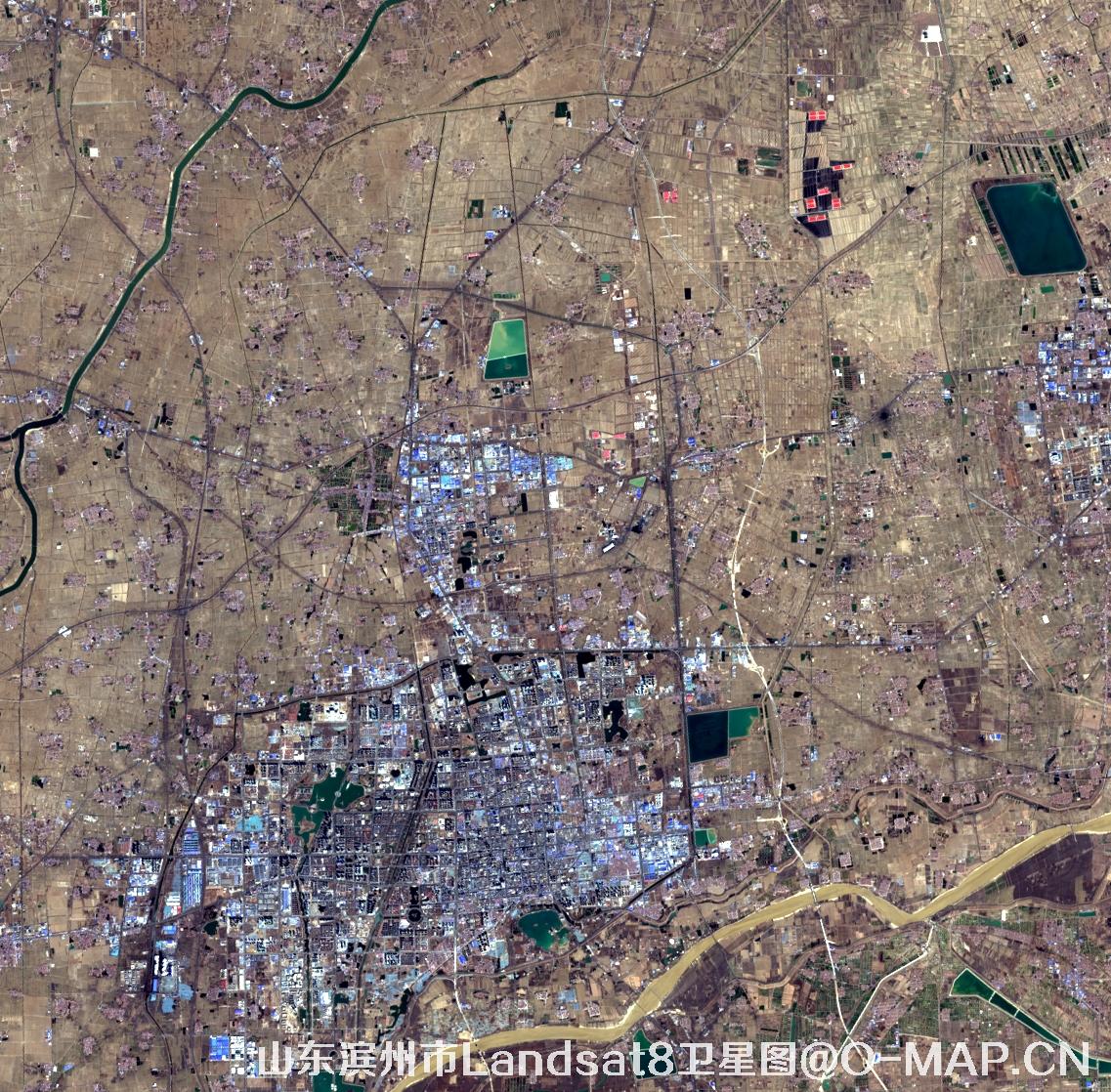 Landsat8卫星2022年3月份拍摄的山东省滨州市卫星图