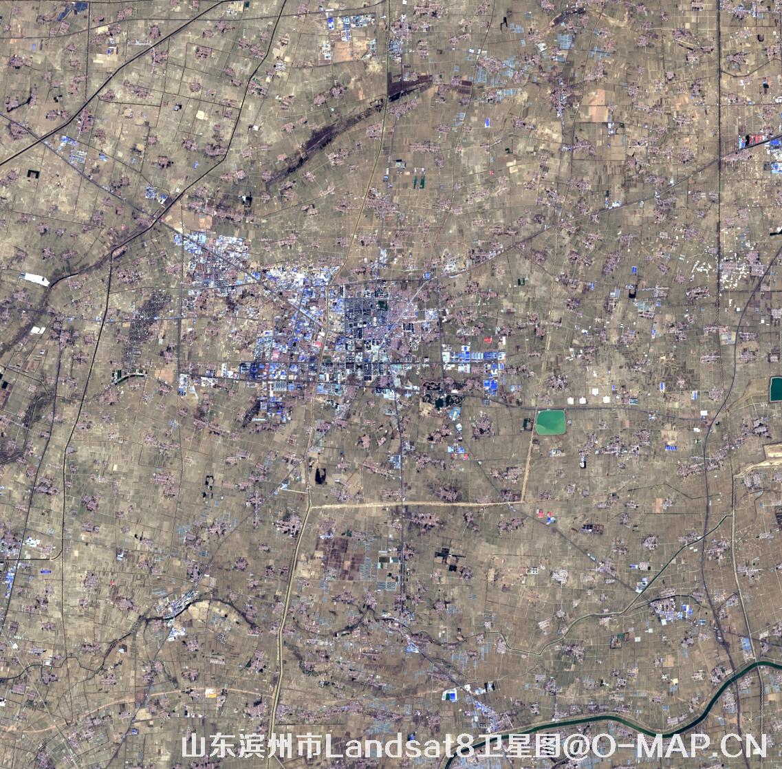 Landsat8卫星2022年3月份拍摄的山东省滨州市卫星图