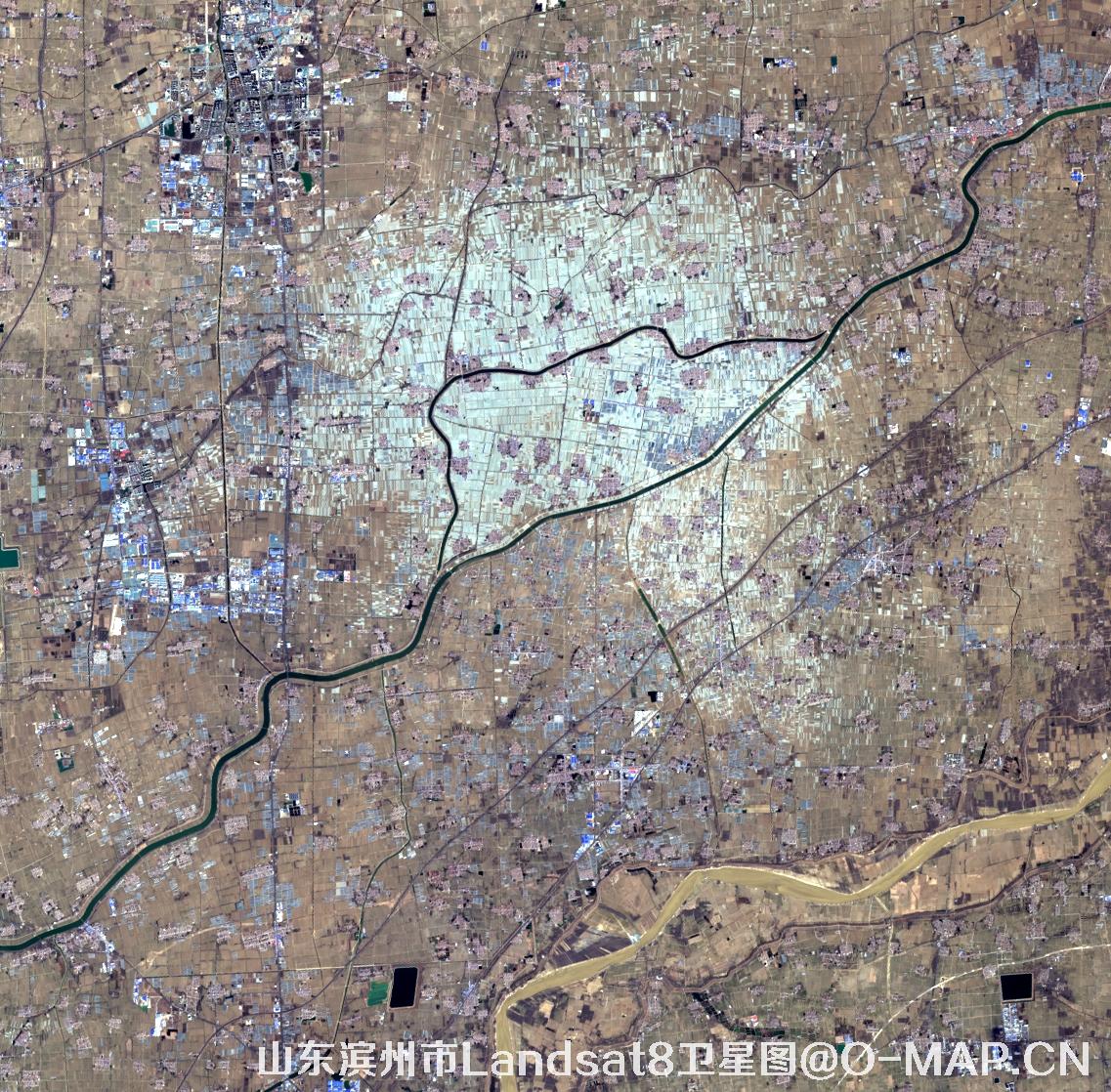 Landsat8卫星2022年3月份拍摄的山东省滨州市卫星图