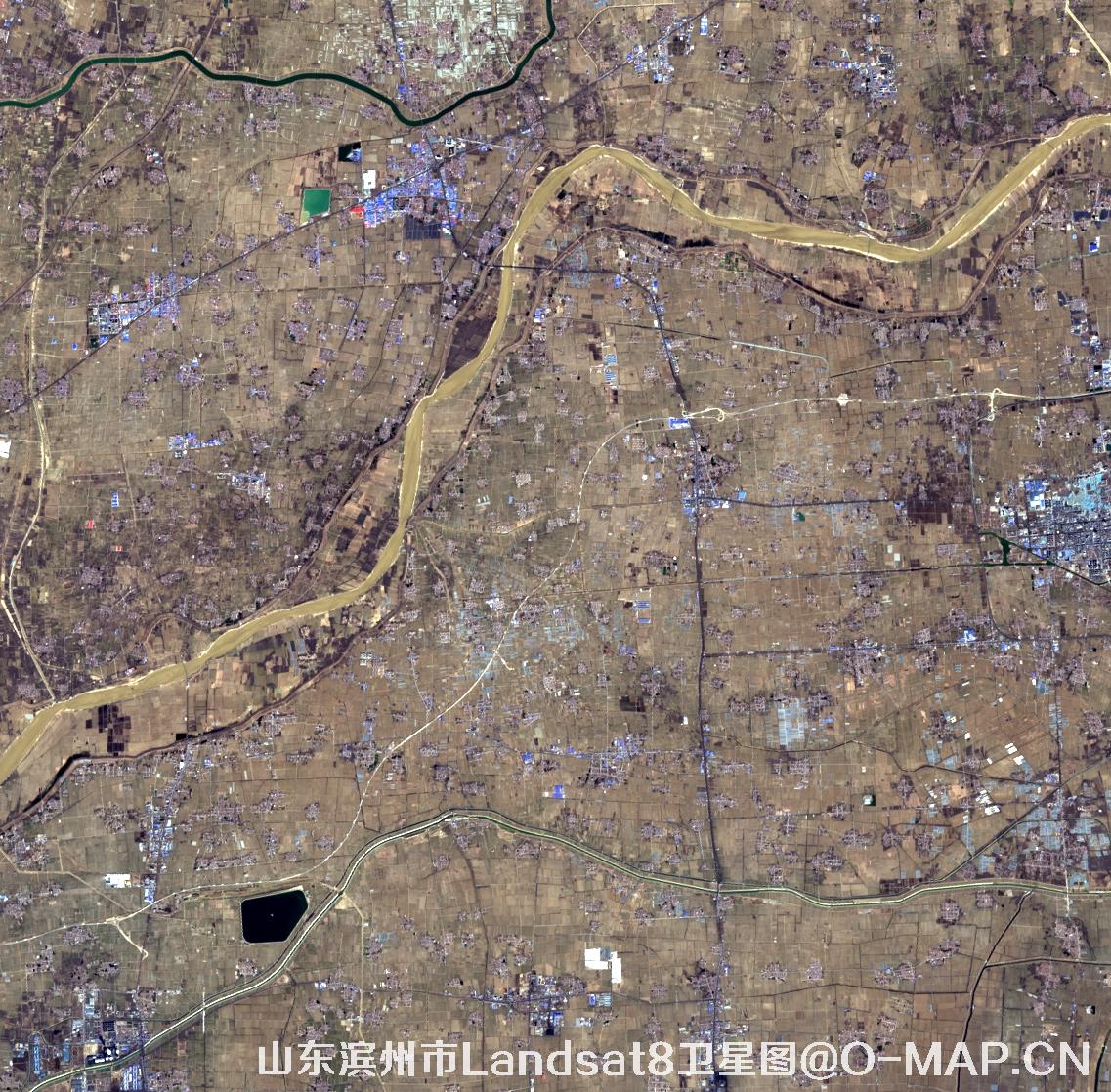 Landsat8卫星2022年3月份拍摄的山东省滨州市卫星图