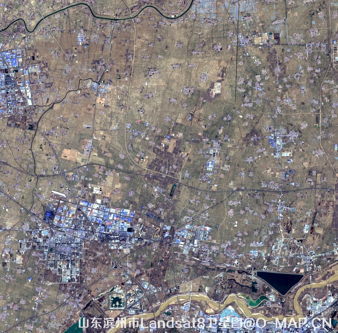 Landsat8卫星2022年3月份拍摄的山东省滨州市卫星图