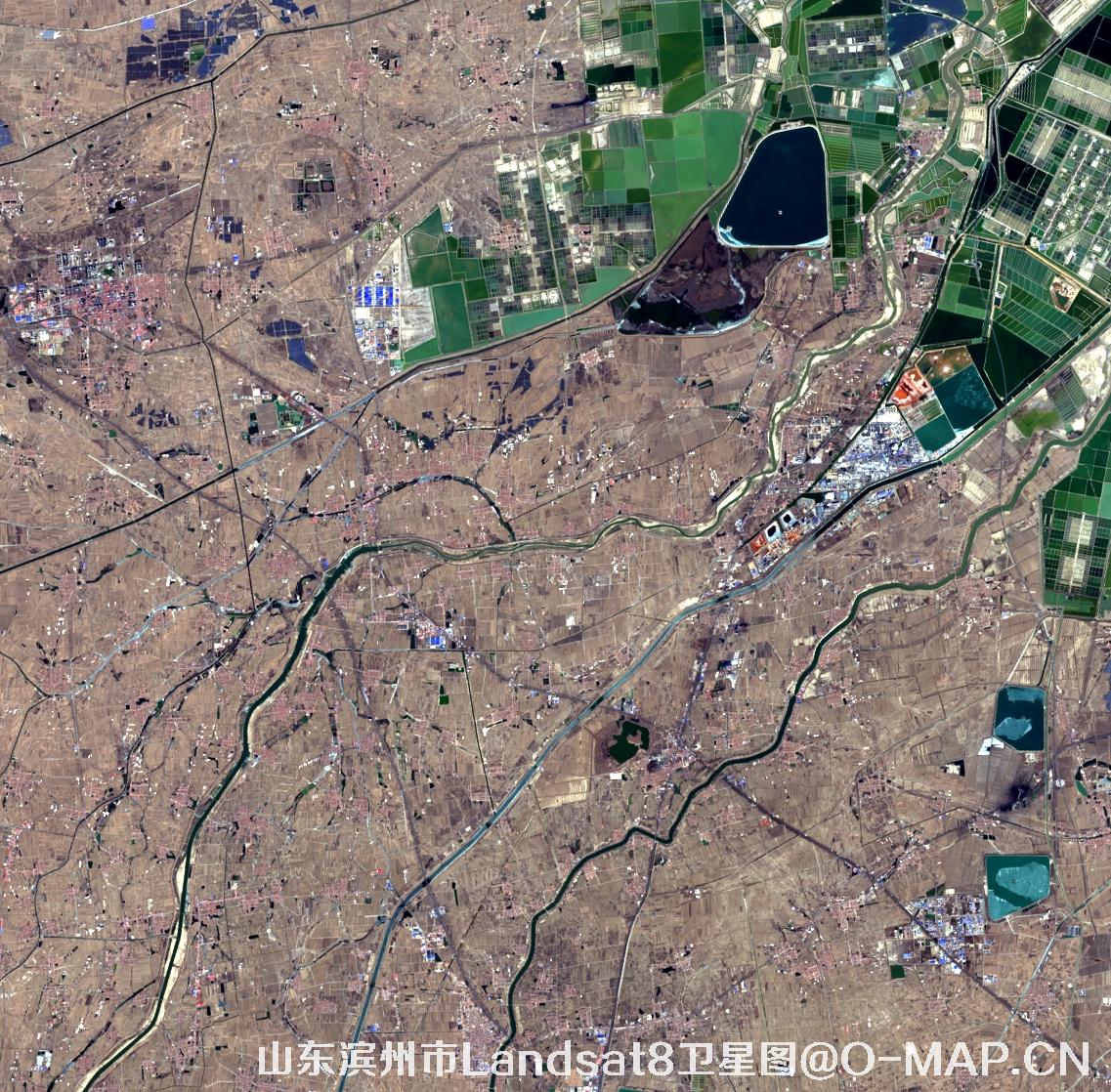 Landsat8卫星2022年3月份拍摄的山东省滨州市卫星图