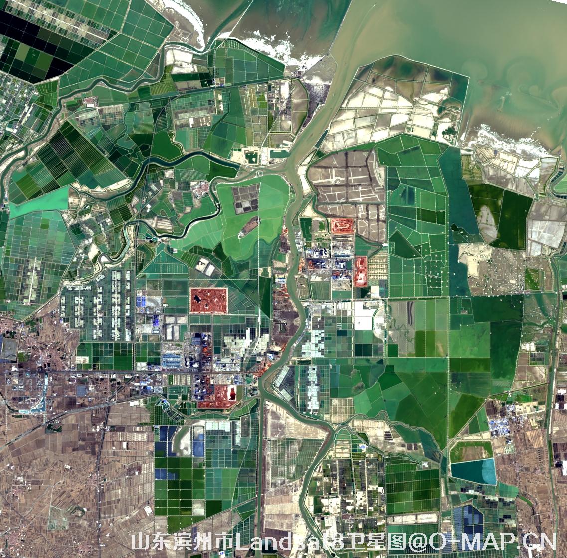Landsat8卫星2022年3月份拍摄的山东省滨州市卫星图