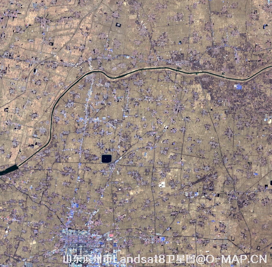 Landsat8卫星2022年3月份拍摄的山东省滨州市卫星图
