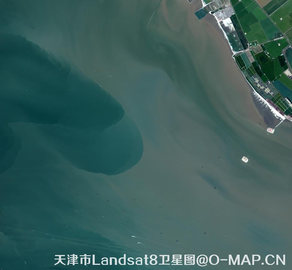 Landsat8卫星2022年3月份拍摄的天津市卫星图