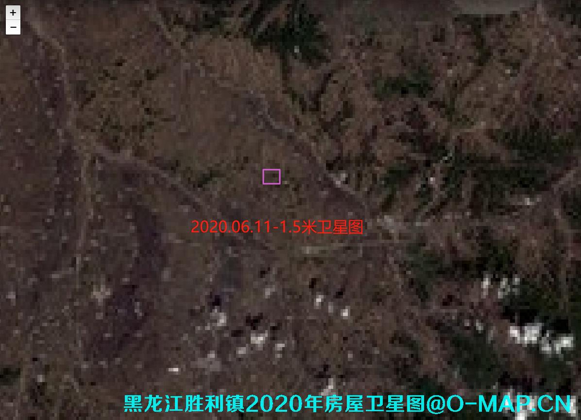 黑龙江省宾县胜利镇先锋村李树臣屯2022年房屋卫星图