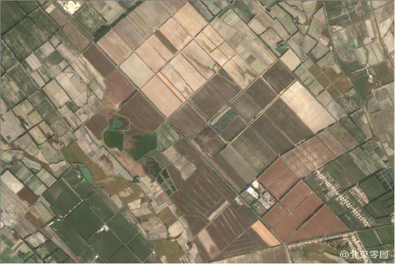 新疆棉花种植区2020年卫星地图
