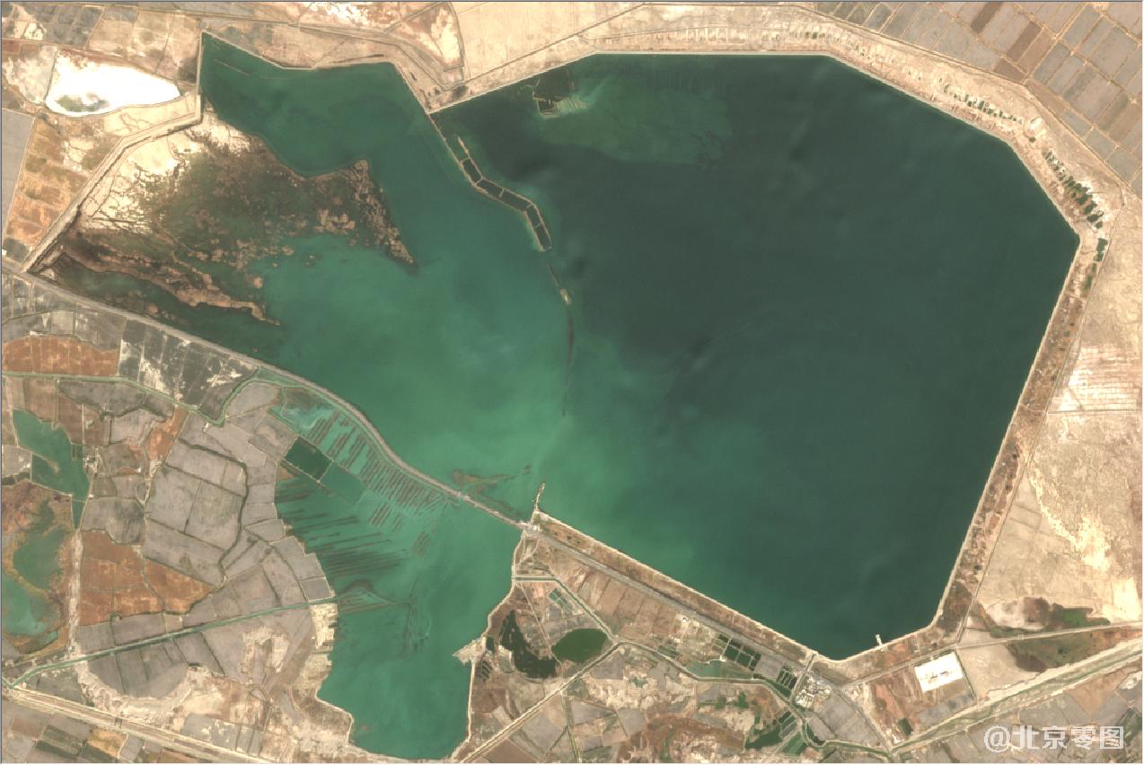 新疆棉花种植区2020年卫星地图