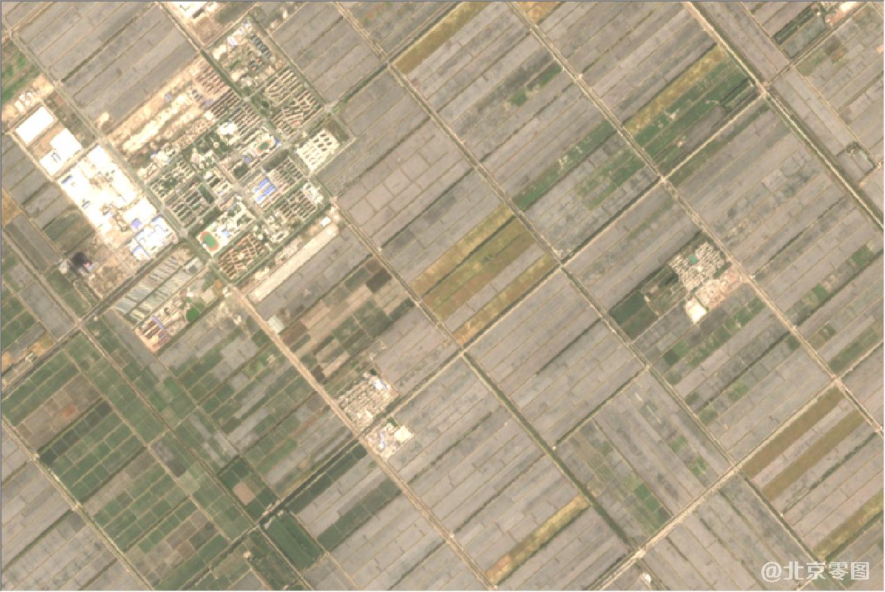 新疆棉花种植区2020年卫星地图