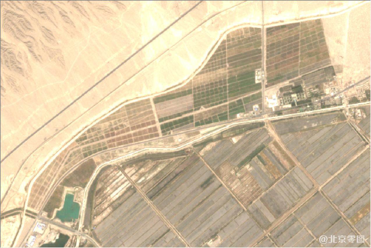 新疆棉花种植区2020年卫星地图