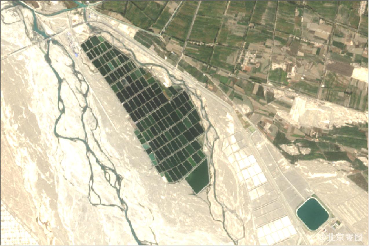 新疆棉花种植区2020年卫星地图