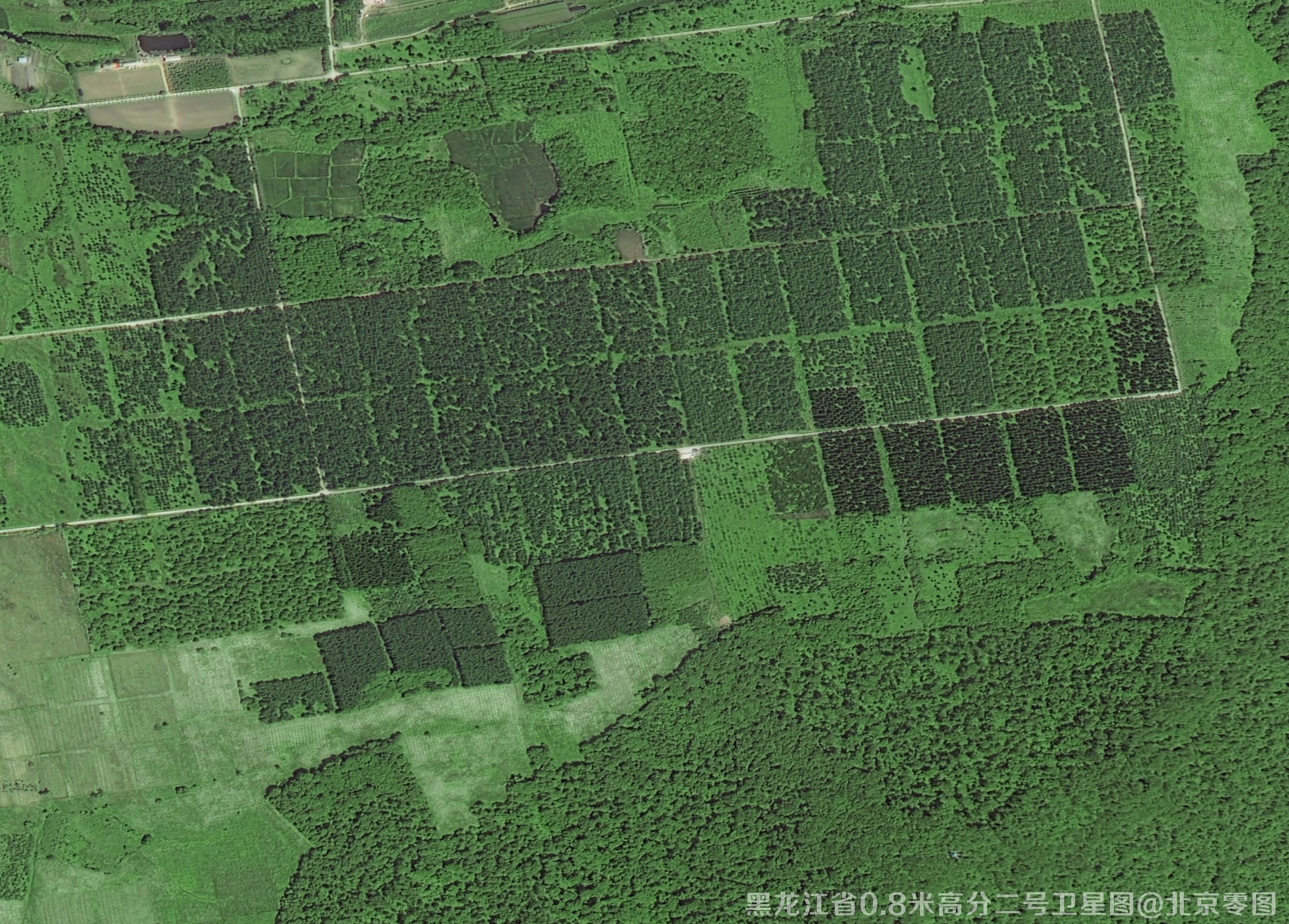 黑龙江五常市0.8米高分二号卫星图
