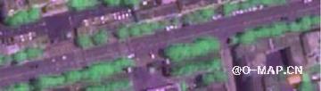 道路附属绿地影像解译标志