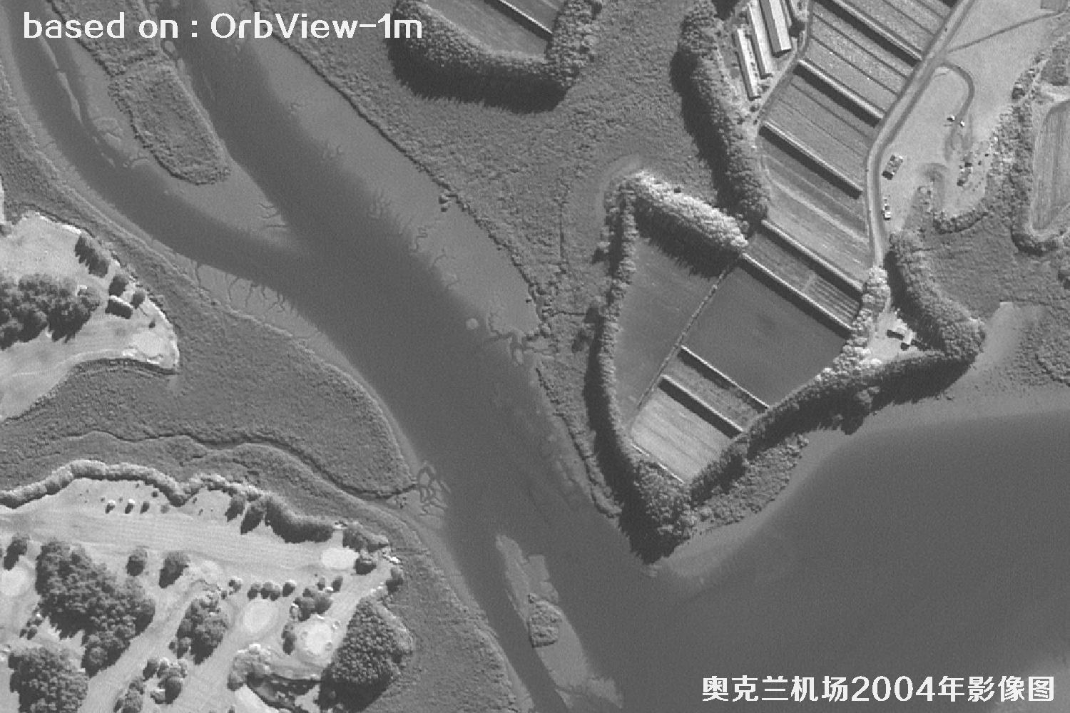 奥克兰机场及周边2004年OrbView卫星1米分辨率影像图