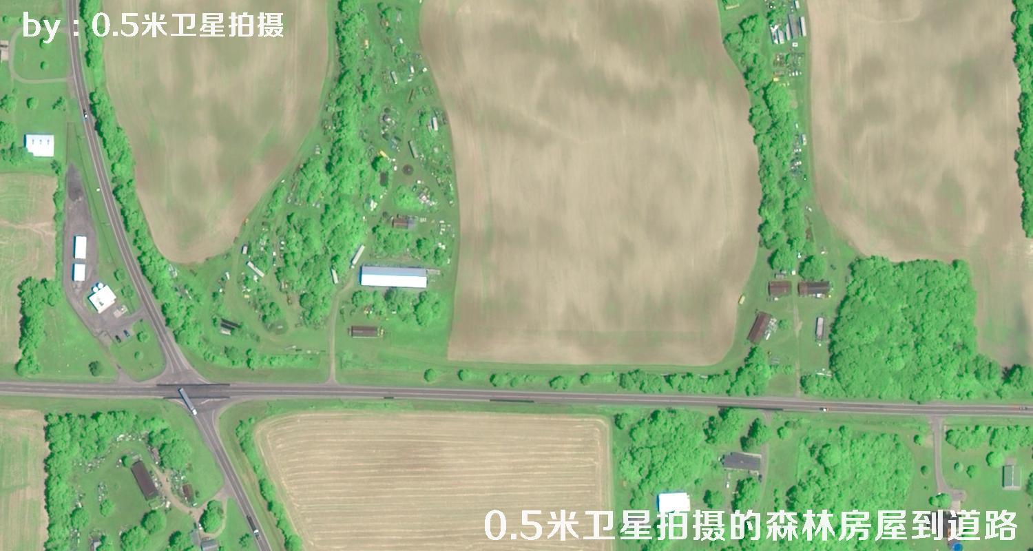 0.5米分辨率卫星拍摄的林地树林房屋以及道路卫星图