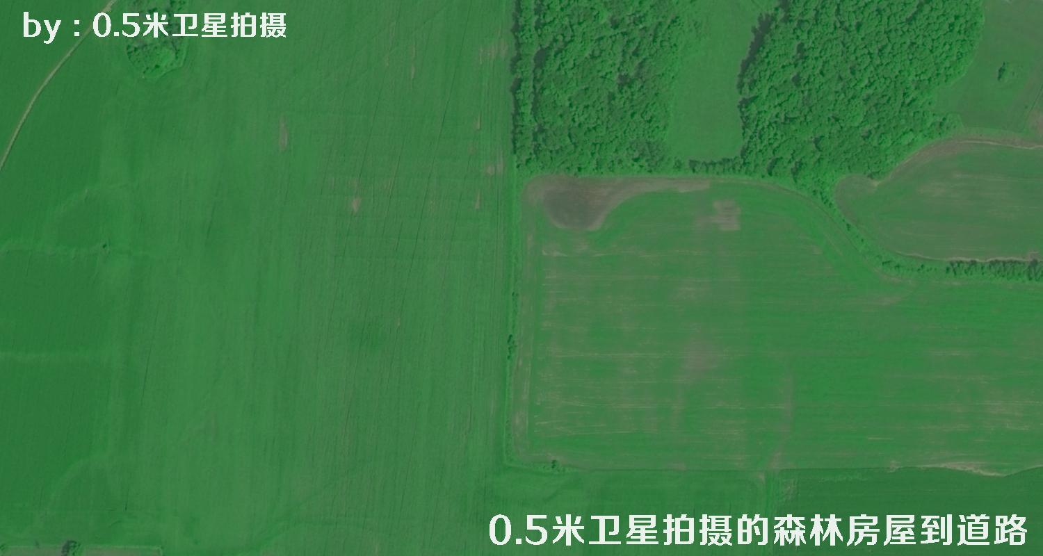 0.5米分辨率卫星拍摄的林地树林房屋以及道路卫星图