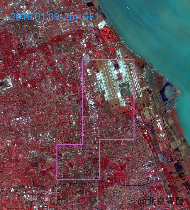 浦东机场卫星影像查询结果