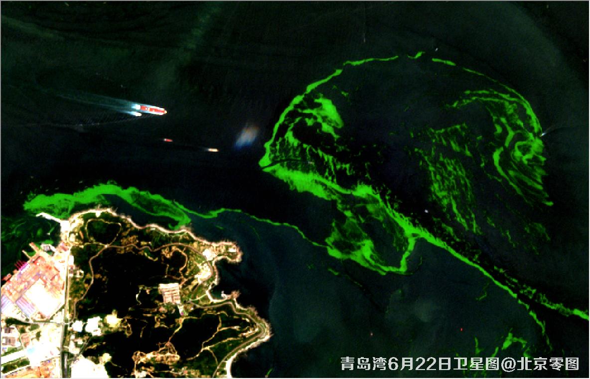 青岛湾6月份水质卫星图