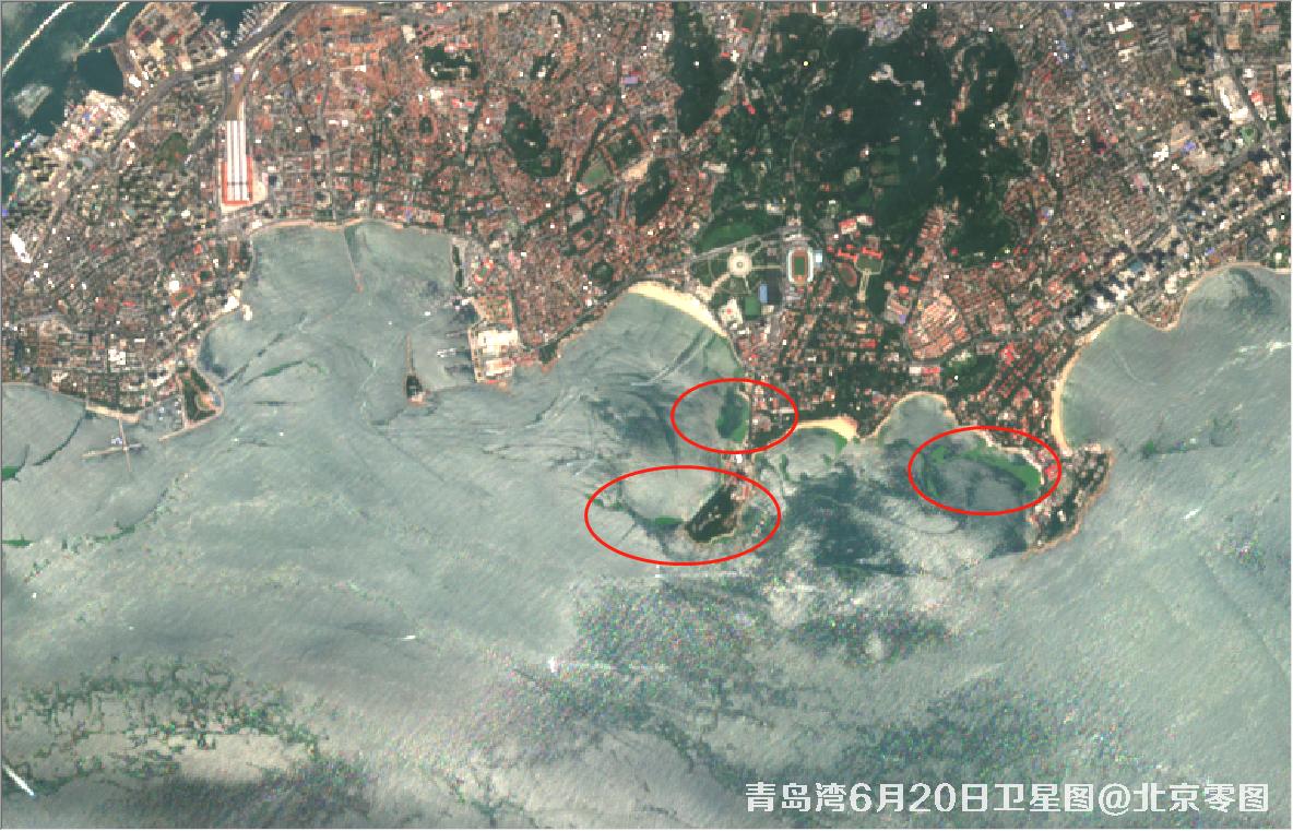 青岛湾6月份水质卫星图