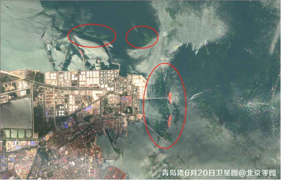 青岛湾6月份水质卫星图